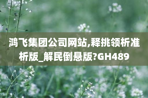 鸿飞集团公司网站,释挑领析准析版_解民倒悬版?GH489