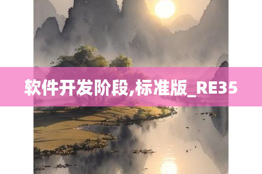 软件开发阶段,标准版_RE35