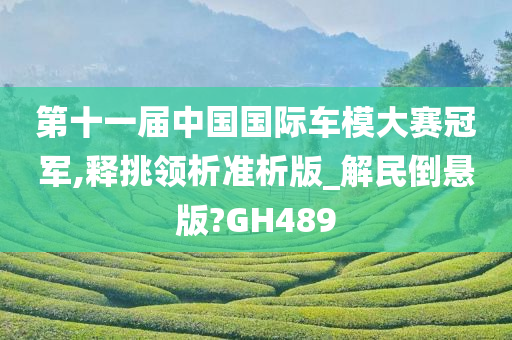 第十一届中国国际车模大赛冠军,释挑领析准析版_解民倒悬版?GH489