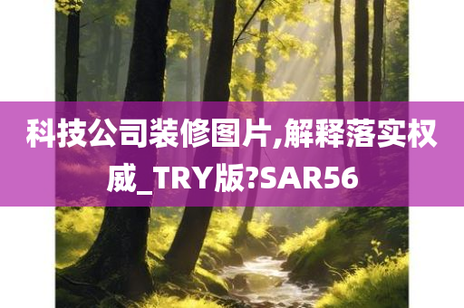 科技公司装修图片,解释落实权威_TRY版?SAR56