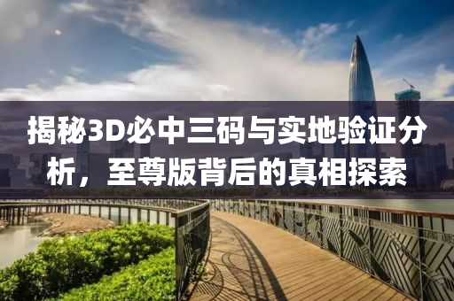 揭秘3D必中三码与实地验证分析，至尊版背后的真相探索