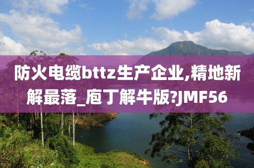 防火电缆bttz生产企业,精地新解最落_庖丁解牛版?JMF56