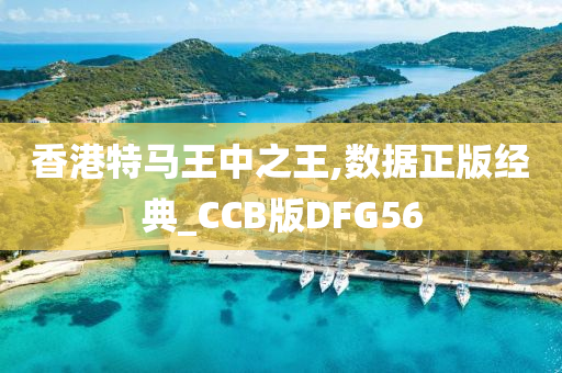 香港特马王中之王,数据正版经典_CCB版DFG56