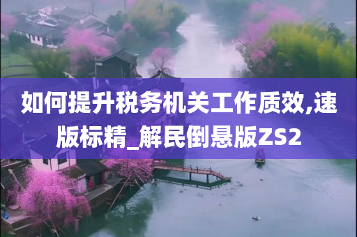 如何提升税务机关工作质效,速版标精_解民倒悬版ZS2