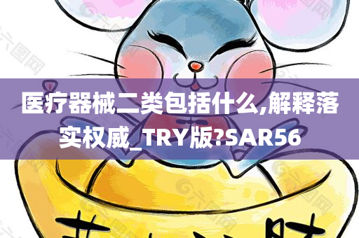 医疗器械二类包括什么,解释落实权威_TRY版?SAR56