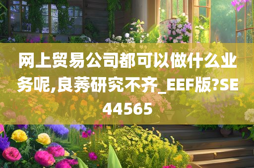 网上贸易公司都可以做什么业务呢,良莠研究不齐_EEF版?SE44565