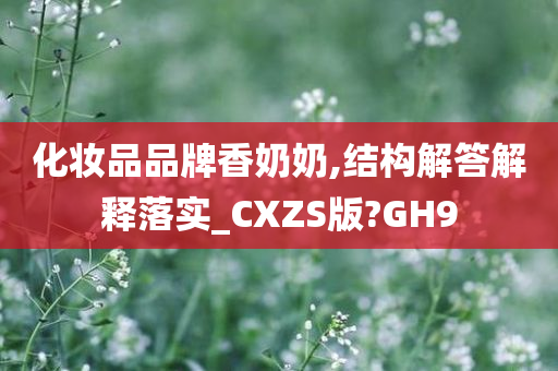 化妆品品牌香奶奶,结构解答解释落实_CXZS版?GH9