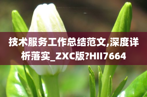 技术服务工作总结范文,深度详析落实_ZXC版?HII7664