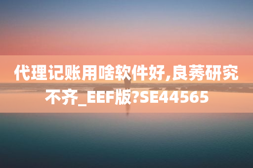 代理记账用啥软件好,良莠研究不齐_EEF版?SE44565