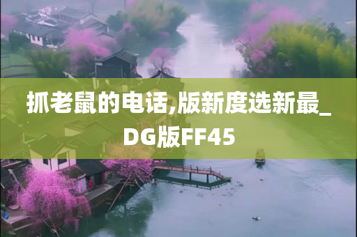 抓老鼠的电话,版新度选新最_DG版FF45