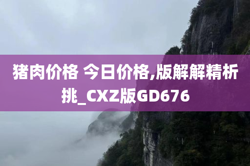 猪肉价格 今日价格,版解解精析挑_CXZ版GD676