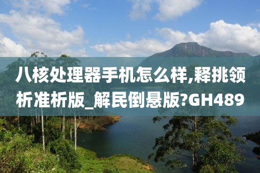 八核处理器手机怎么样,释挑领析准析版_解民倒悬版?GH489