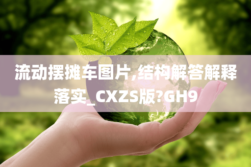 流动摆摊车图片,结构解答解释落实_CXZS版?GH9