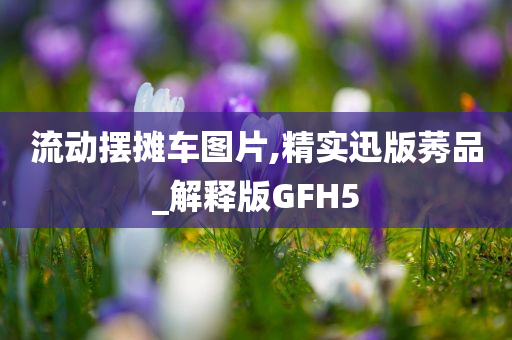 流动摆摊车图片,精实迅版莠品_解释版GFH5