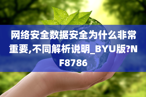 网络安全数据安全为什么非常重要,不同解析说明_BYU版?NF8786