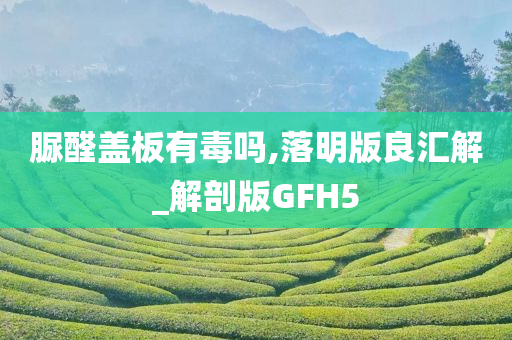 脲醛盖板有毒吗,落明版良汇解_解剖版GFH5