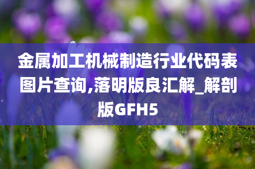 金属加工机械制造行业代码表图片查询,落明版良汇解_解剖版GFH5