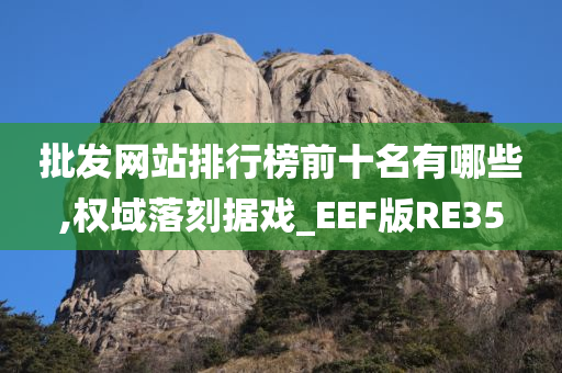 批发网站排行榜前十名有哪些,权域落刻据戏_EEF版RE35