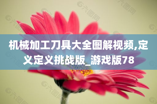 机械加工刀具大全图解视频,定义定义挑战版_游戏版78