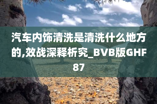 汽车内饰清洗是清洗什么地方的,效战深释析究_BVB版GHF87