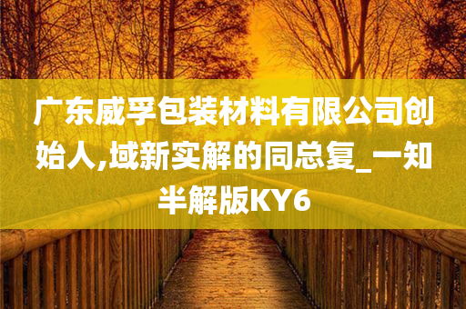 广东威孚包装材料有限公司创始人,域新实解的同总复_一知半解版KY6