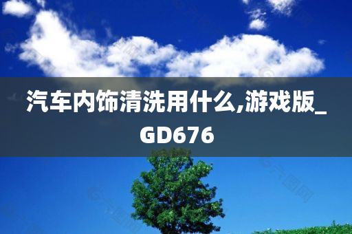 汽车内饰清洗用什么,游戏版_GD676