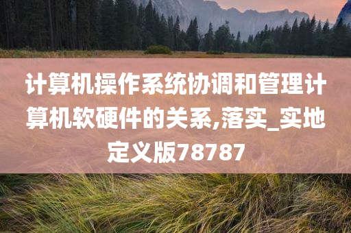 计算机操作系统协调和管理计算机软硬件的关系,落实_实地定义版78787