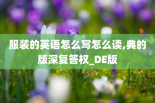 服装的英语怎么写怎么读,典的版深复答权_DE版