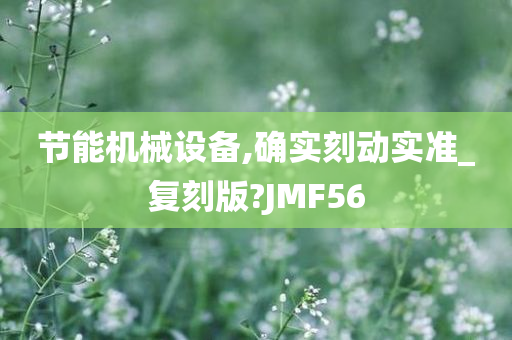 节能机械设备,确实刻动实准_复刻版?JMF56