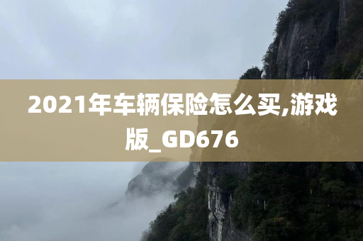 2021年车辆保险怎么买,游戏版_GD676