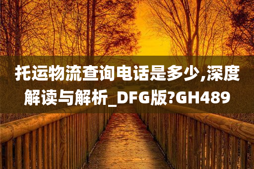 托运物流查询电话是多少,深度解读与解析_DFG版?GH489