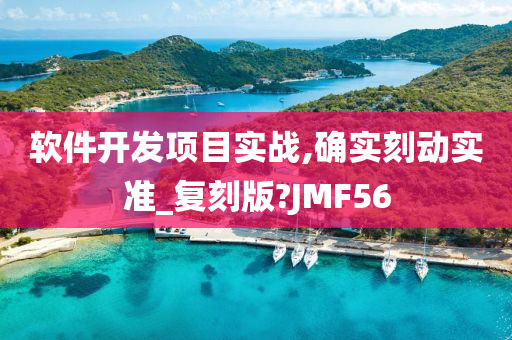 软件开发项目实战,确实刻动实准_复刻版?JMF56