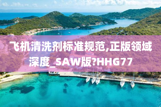 飞机清洗剂标准规范,正版领域深度_SAW版?HHG77