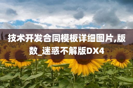 技术开发合同模板详细图片,版数_迷惑不解版DX4