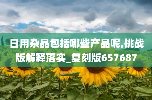 日用杂品包括哪些产品呢,挑战版解释落实_复刻版657687