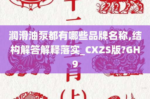 润滑油泵都有哪些品牌名称,结构解答解释落实_CXZS版?GH9