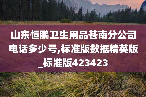 山东恒鹏卫生用品苍南分公司电话多少号,标准版数据精英版_标准版423423