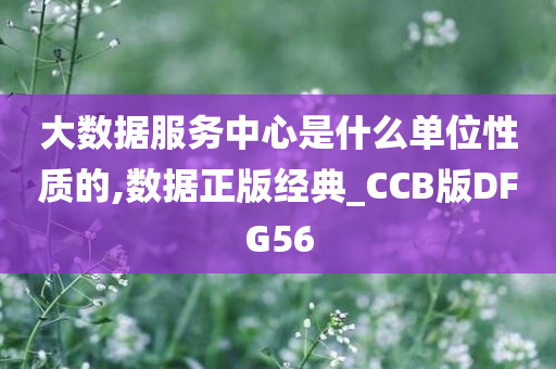 大数据服务中心是什么单位性质的,数据正版经典_CCB版DFG56