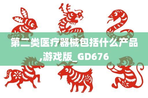 第二类医疗器械包括什么产品,游戏版_GD676