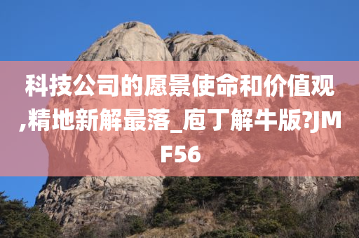 科技公司的愿景使命和价值观,精地新解最落_庖丁解牛版?JMF56