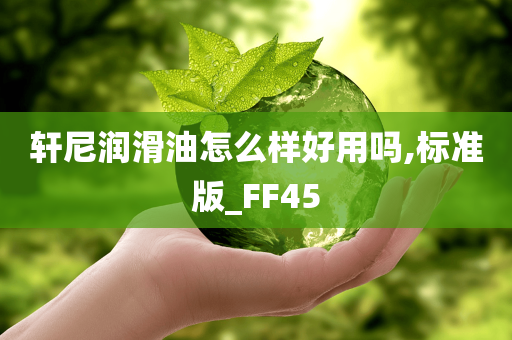 轩尼润滑油怎么样好用吗,标准版_FF45