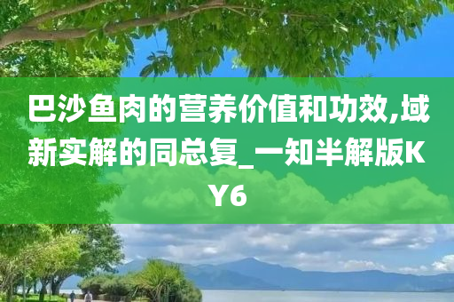 巴沙鱼肉的营养价值和功效,域新实解的同总复_一知半解版KY6