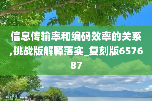 信息传输率和编码效率的关系,挑战版解释落实_复刻版657687