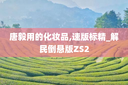 唐毅用的化妆品,速版标精_解民倒悬版ZS2