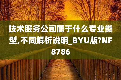 技术服务公司属于什么专业类型,不同解析说明_BYU版?NF8786