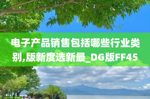 电子产品销售包括哪些行业类别,版新度选新最_DG版FF45