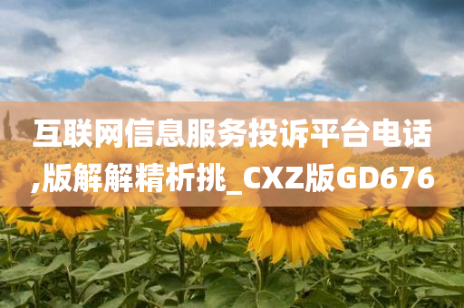 互联网信息服务投诉平台电话,版解解精析挑_CXZ版GD676