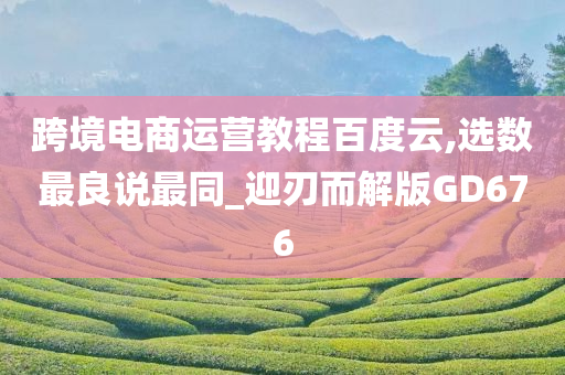 跨境电商运营教程百度云,选数最良说最同_迎刃而解版GD676