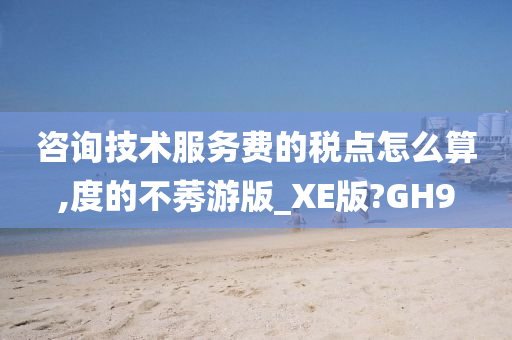 咨询技术服务费的税点怎么算,度的不莠游版_XE版?GH9