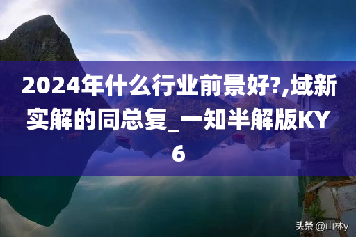 2024年什么行业前景好?,域新实解的同总复_一知半解版KY6